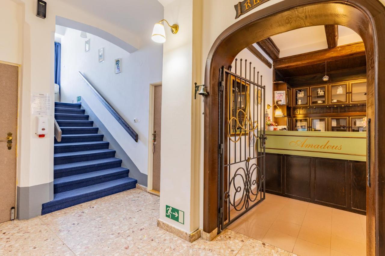 Amadeus Ceske Budejovice